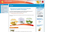Desktop Screenshot of bourgogne.ademe.fr